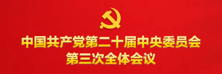 学习贯彻席大大总书记在省部级专题研讨班开班式上的重要讲话精神（2024年10月29日）