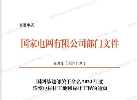 瑞安公司：济宁金乡杨庄110千伏变电站工程荣获 国家电网公司“2024年输变电标杆工程”