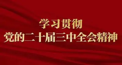 二十届三中全会精神学习内容（25个基础知识点）